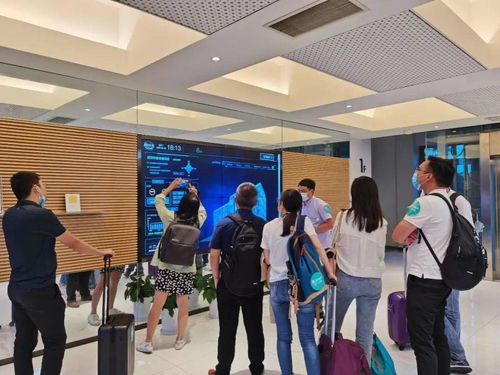 沒開窗沒空調，空氣清新依舊 解密仙瑜科技的人居“神仙體驗”